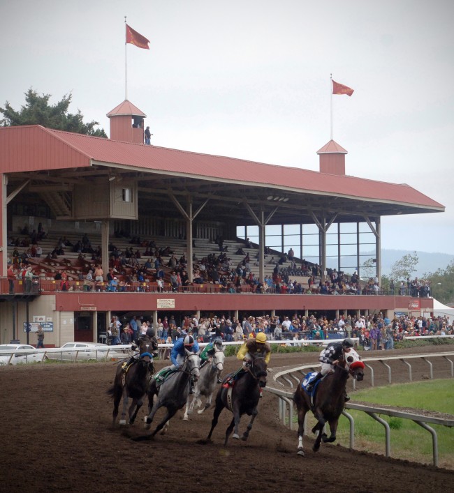 Race Track With dark red stands to the left, packed with people. In front is a dirt race track with 5 horses and their jockeys racing