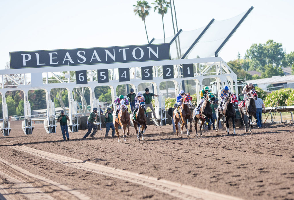 Horse racong track with six horses across with jockeys atop running right out of the gate. Plesanton in capital letters hangs above the release gates